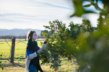 A young woman picks an orange from an orange tree in a green field with mountains in the background