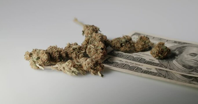 Weed Buds on top of 100 Dollar banknotes. Drugs and Cash money. natural Medicine with CBD