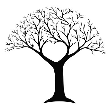 Dead tree with branches - vector silhouette