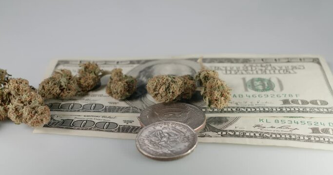 CBD Cannabis with Dollar Coin and 100 Dollar Banknote. Cash and Medicine and Drugs on White Background.