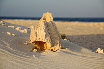 Sandgebilde am Sandstrand von Marsa Alam &Auml;gypten