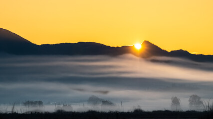 Sun rising over the Cascade Mountains with fog in the Skagit Valley below to witness the pure yellow morning sky