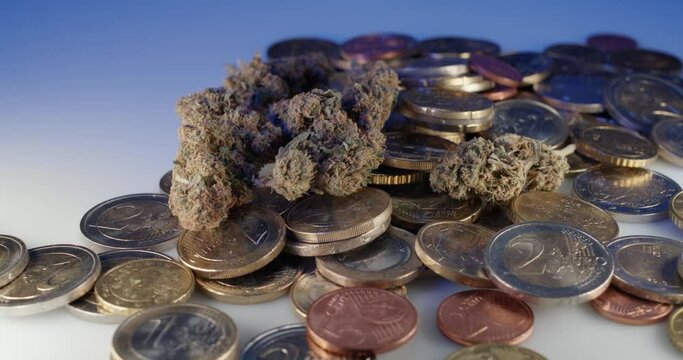 Dry Cannabis Buds on top of Euro Coin. Purchase Drugs like Weed with CBD and THC. Marijuana and Cash