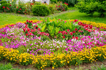 Scenic view of colourful flowerbeds. Lush green grass lawn. Landscape design.
