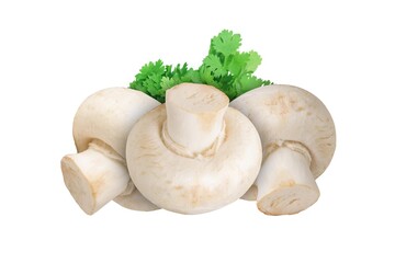 Champignon mushrooms, isolated on white background. Fresh mushrooms