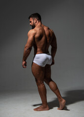 Fitness model