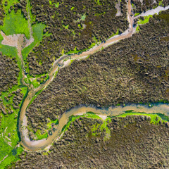 Arroyo del Capitan. Aerial view at low tide. Oyambre Natural Park, San Vicente de la Barquera, Cantabrian Sea, Cantabria, Spain, Europe