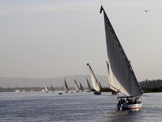 Egypt Sailboat regatta on Nile river