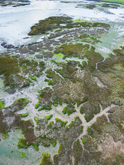 Tidal Marsh, Tidal Wetland (MARISMA), Low Tide, Marismas de Santoña, Victoria y Joyel Natural Park, Cantabria, Spain, Europe