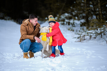 Obraz premium Happy father and little daughter and husky dog in winter forest walking in winter.