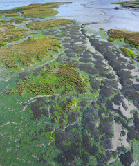 Tidal Marsh, Tidal Wetland (MARISMA), Low Tide, Marismas de Santoña, Victoria y Joyel Natural Park, Cantabria, Spain, Europe