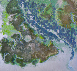 Tidal Marsh, Tidal Wetland (MARISMA), Low Tide, Marismas de Santoña, Victoria y Joyel Natural Park, Cantabria, Spain, Europe