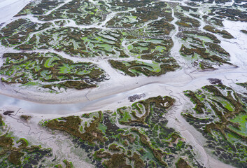 Tidal Marsh, Tidal Wetland (MARISMA), Low Tide, Marismas de Santoña, Victoria y Joyel Natural Park, Cantabria, Spain, Europe
