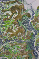 Tidal Marsh, Tidal Wetland (MARISMA), Low Tide, Marismas de Santoña, Victoria y Joyel Natural Park, Cantabria, Spain, Europe