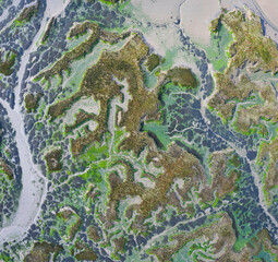 Tidal Marsh, Tidal Wetland (MARISMA), Low Tide, Marismas de Santoña, Victoria y Joyel Natural Park, Cantabria, Spain, Europe