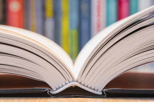 Opened book pages with blurred soft background