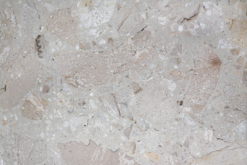 marble slab fine multicolored background pattern