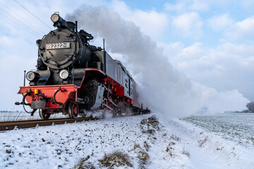 Fototapeta premium Molli