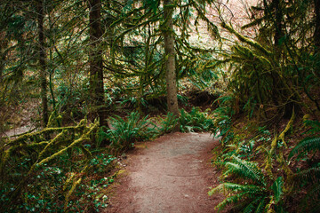 Pacific Northwest Trail