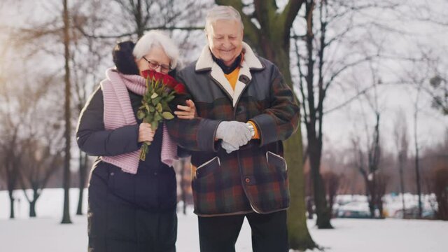 Happy elderly couple walking in the park covered in snow. Woman smeling red roses. High quality 4k footage