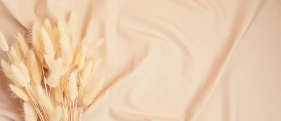 Getrocknete natürliche Lagurus-Ovatus-Bündel, Hasenschwanz-Gras über beigem pastellfarbenem Seidenhintergrund. Banner, Kopierbereich © netrun78