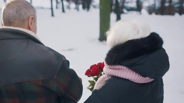 Back view of happy elderly couple walking in the park covered in snow. Woman smeling red roses. High quality 4k footage