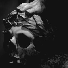 Thus passes the glory of the world (Sic transit gloria mundi (Latin phrase). Foot on the skull in a...