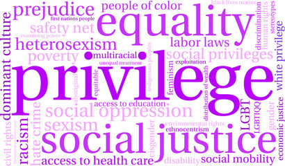 Privilege Word Cloud on a white background. 