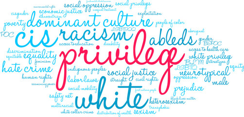 Privilege Word Cloud on a white background.