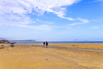 Fototapeta na wymiar DAY OF WALKING IN THE BEACHES OF ICA CALLED LAGUNILLA IN ICA PERU