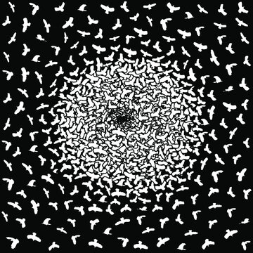 Birds silhouette from a circle. Abstract creative composition. Black and white pattern. Vector illustration.
