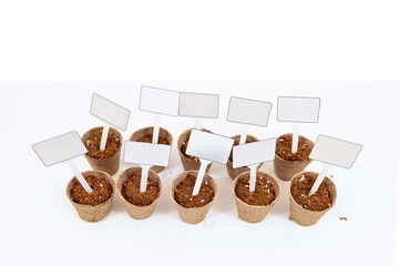 Small Peat Pots With Soil and Blank Signs