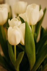 Obraz na płótnie Canvas white flowers tulips in a vase