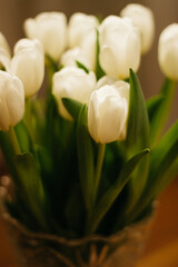 Fototapeta na wymiar white flowers tulips in a vase