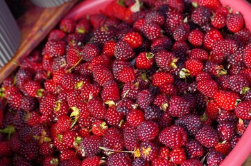 Colorful fruit market selection in Ecuador