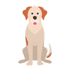 Naklejka premium pet big dog animal sitting on white background