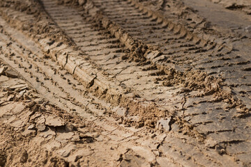 Truck tracks printed in the mud