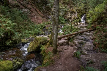 Fotobehang Bos rivier Small river streaming through the mossy rocks  © Kay Fritsch/Wirestock