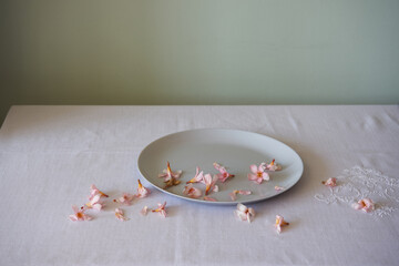 still life of pink oleanders on a plain white plate