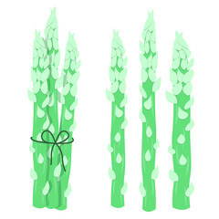 Asparagus. Green asparagus isolated on white background. A bunch of vegetables. Cartoon asparagus.