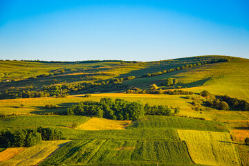 Green meadow with farmlands , natural landscape in the summer sunset near Tatgu Mures. Romania