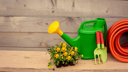 Green garden tools and flowers stand on wooden background