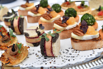 Catering. Colorful meat snacks with bread fruits and vegetables on a white plate.