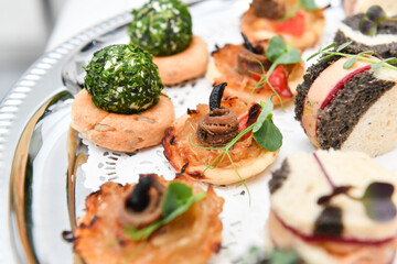 Catering. Colorful meat snacks with bread fruits and vegetables on a white plate.