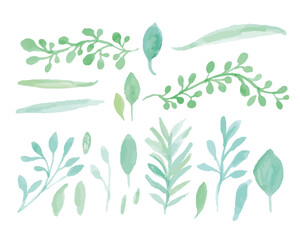 水彩タッチの色々な種類の手書き草木　Greenery elements,vintage nature botanical collection. Vector illustrations