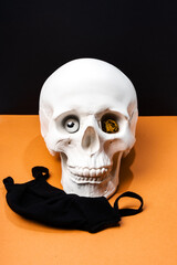 Skull face mask and flower. Ball and dead flower in the eye sockets of the skull. A minimalistic art concept dedicated to the pandemic. Black mask on a white plaster head.