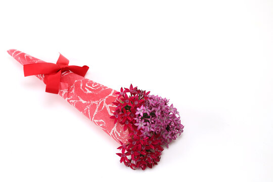 142 Best クササンタンカ Images Stock Photos Vectors Adobe Stock