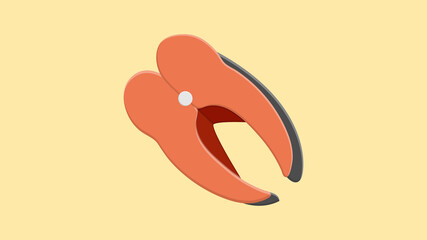 Piece or slice red fish. Raw salmon steak - fresh and healthy seafood