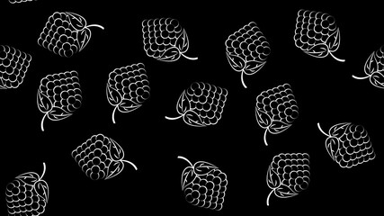 Grape bunch seamless pattern on white background, Fresh organic food, Purple grapes pattern background, Fruit illustration