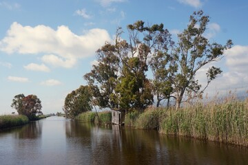 Fototapeta premium Massaciuccoli